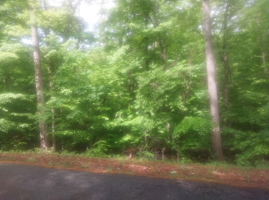 931 Blankenship Rd, Martinsville, Virginia image 1