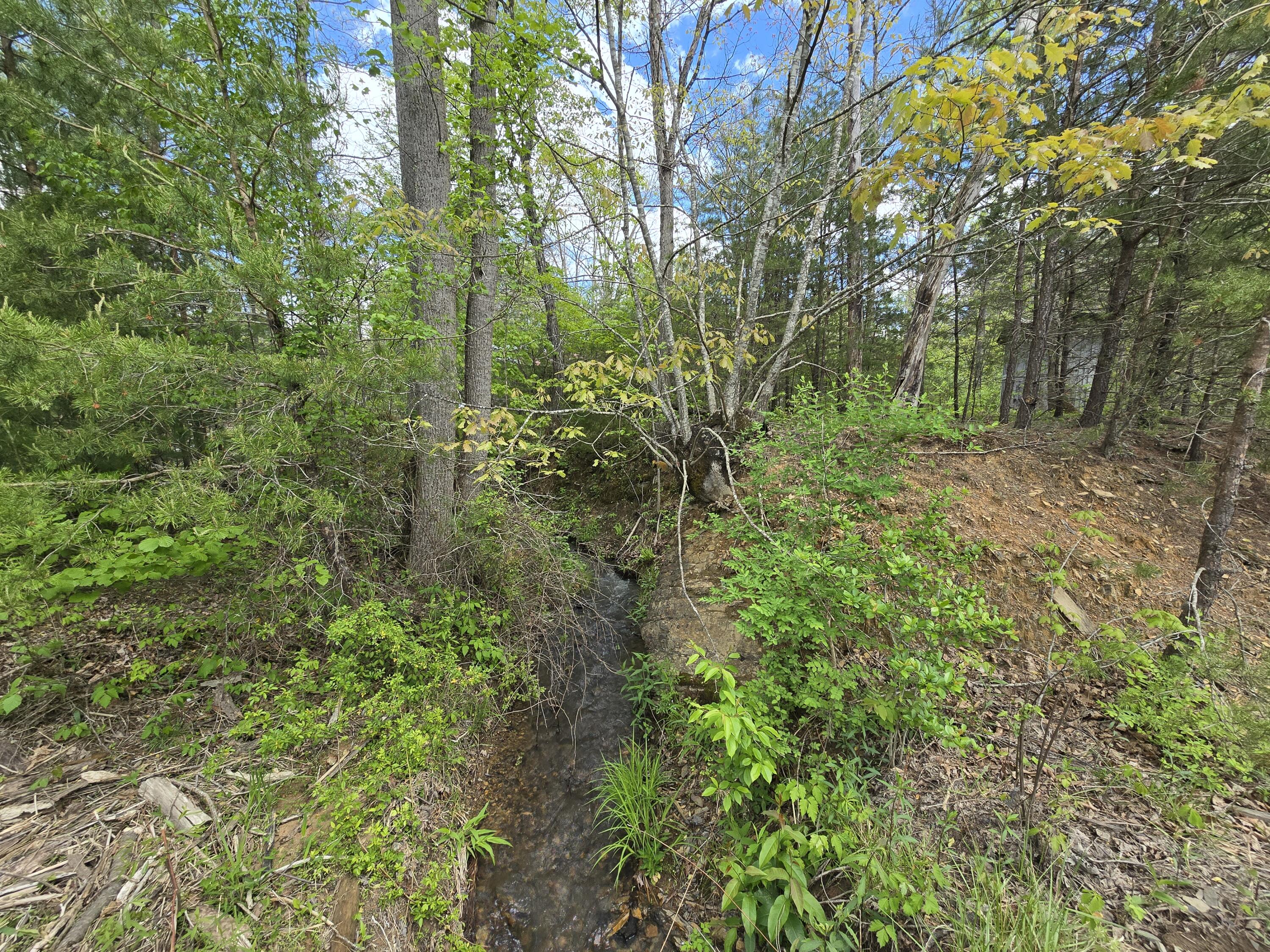 115 Wrights Branch Rd, New Castle, Ohio image 4