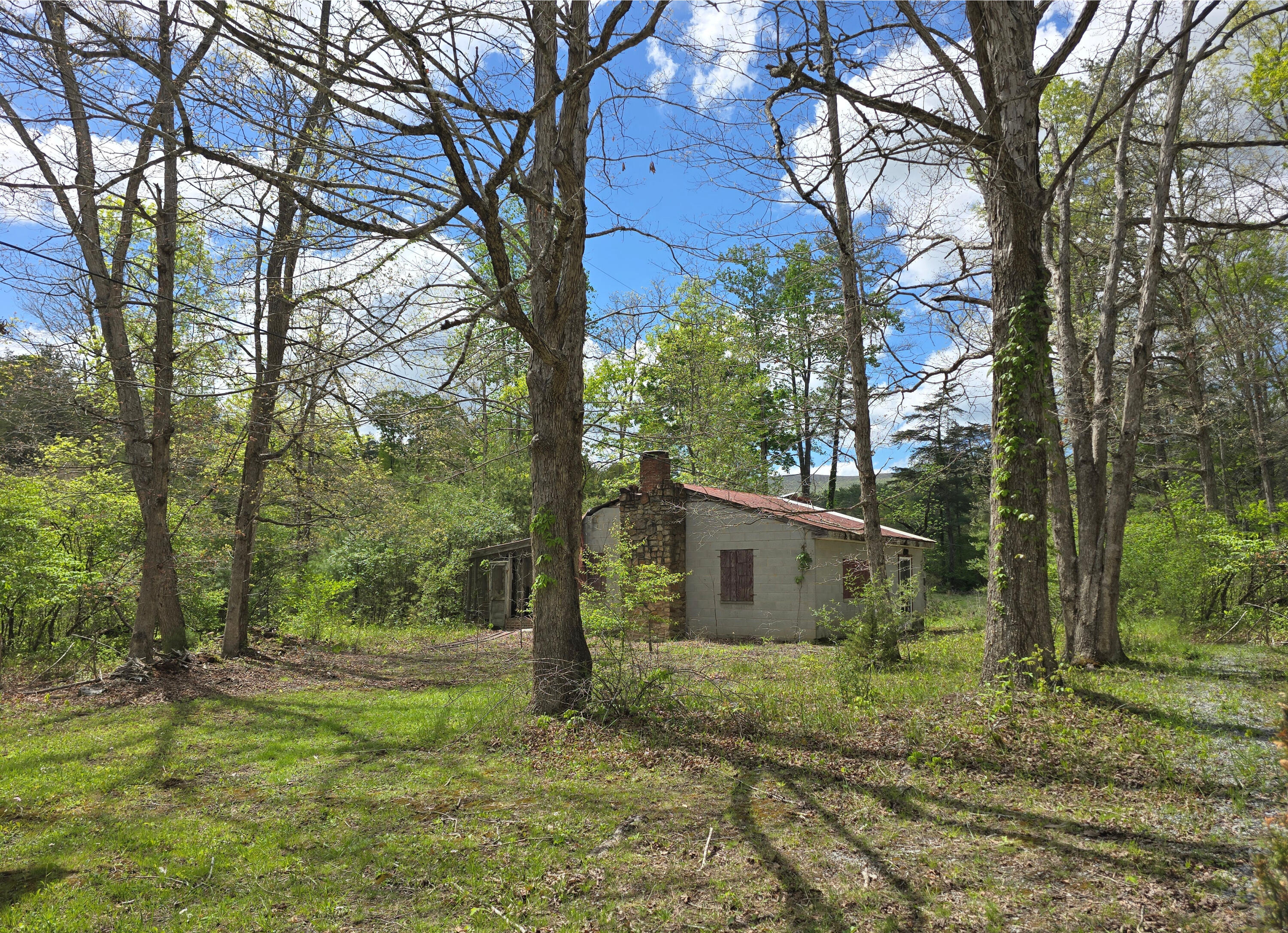 115 Wrights Branch Rd, New Castle, Ohio image 11