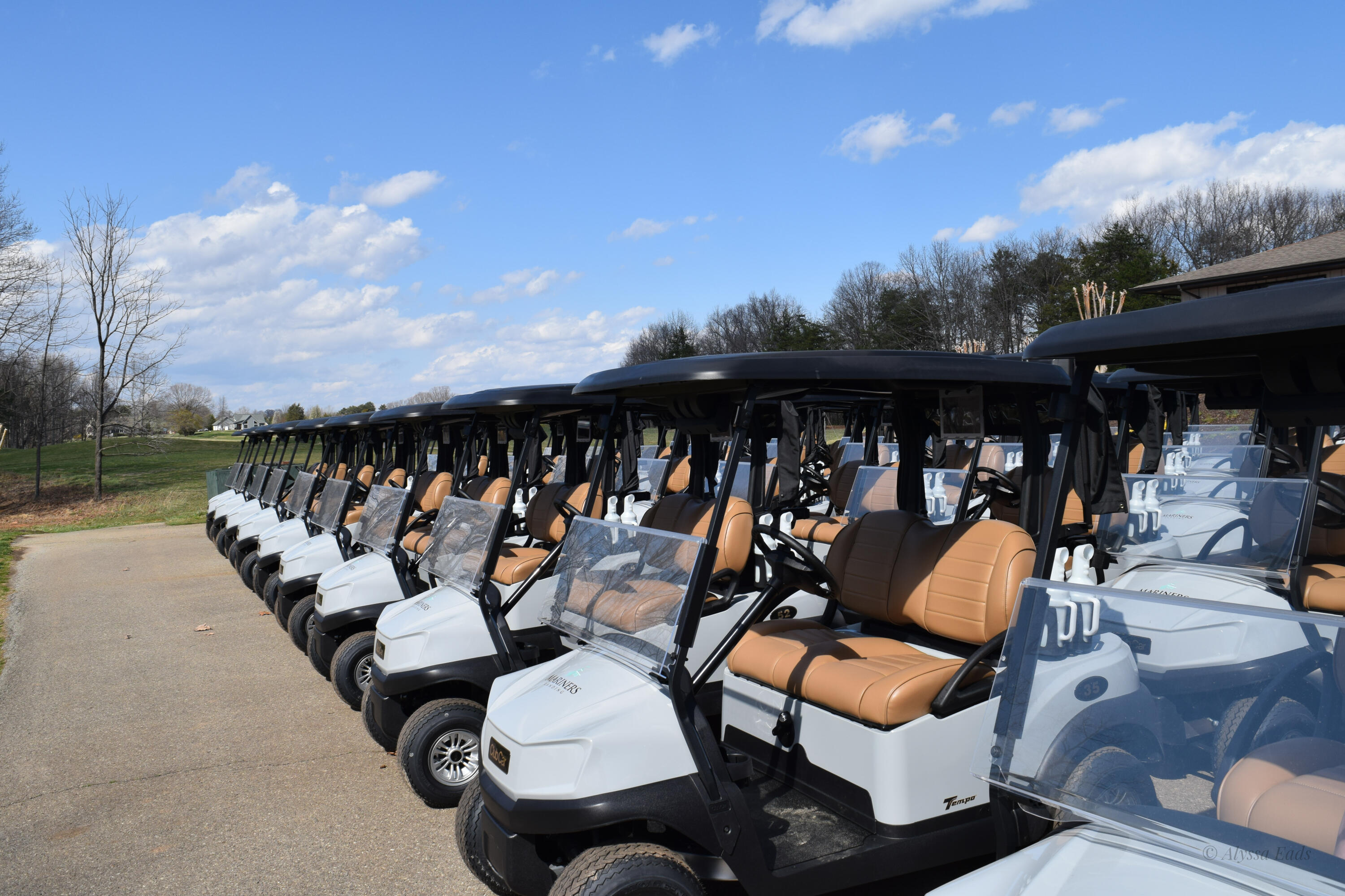 Lot 4 Golf View Ct, Huddleston, Virginia image 22