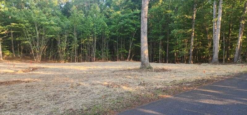 Lot 58 Buccaneer Rd, Moneta, Virginia image 3