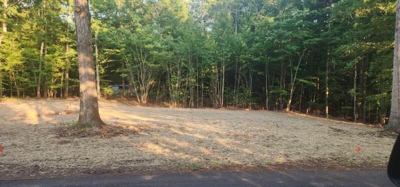 Lot 58 Buccaneer Rd, Moneta, Virginia image 6