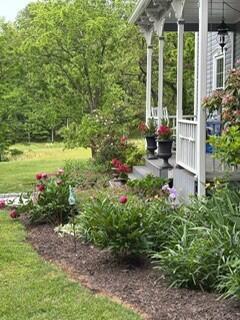 5109 Twelve Oclock Knob Rd, Roanoke, Virginia image 8