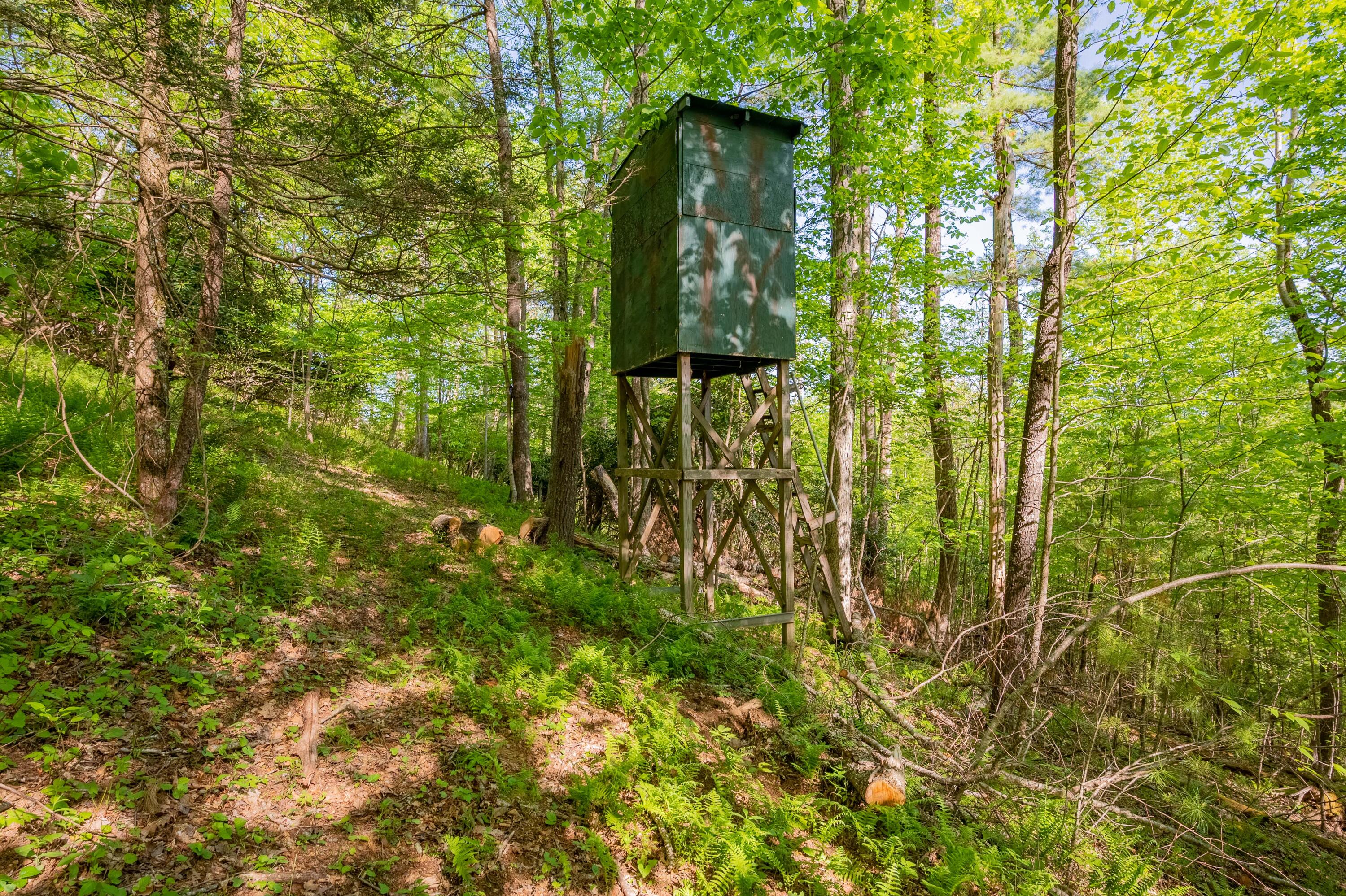 Siner Rd, Copper Hill, Virginia image 19