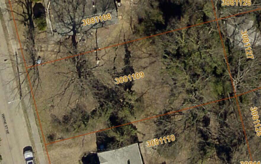 Wayne St, Roanoke, Virginia image 1