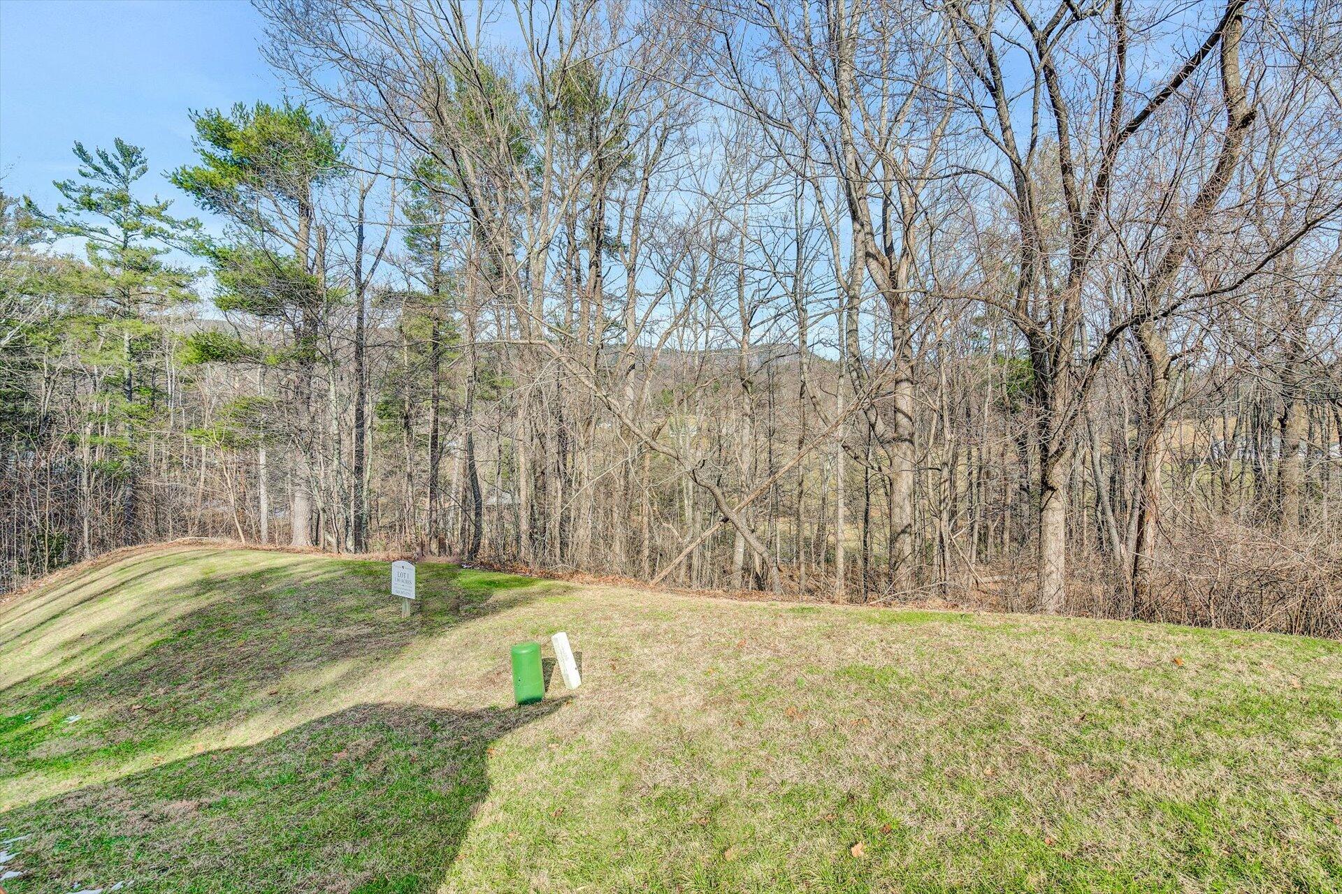 Poplar Springs Ln, Roanoke, Virginia image 1