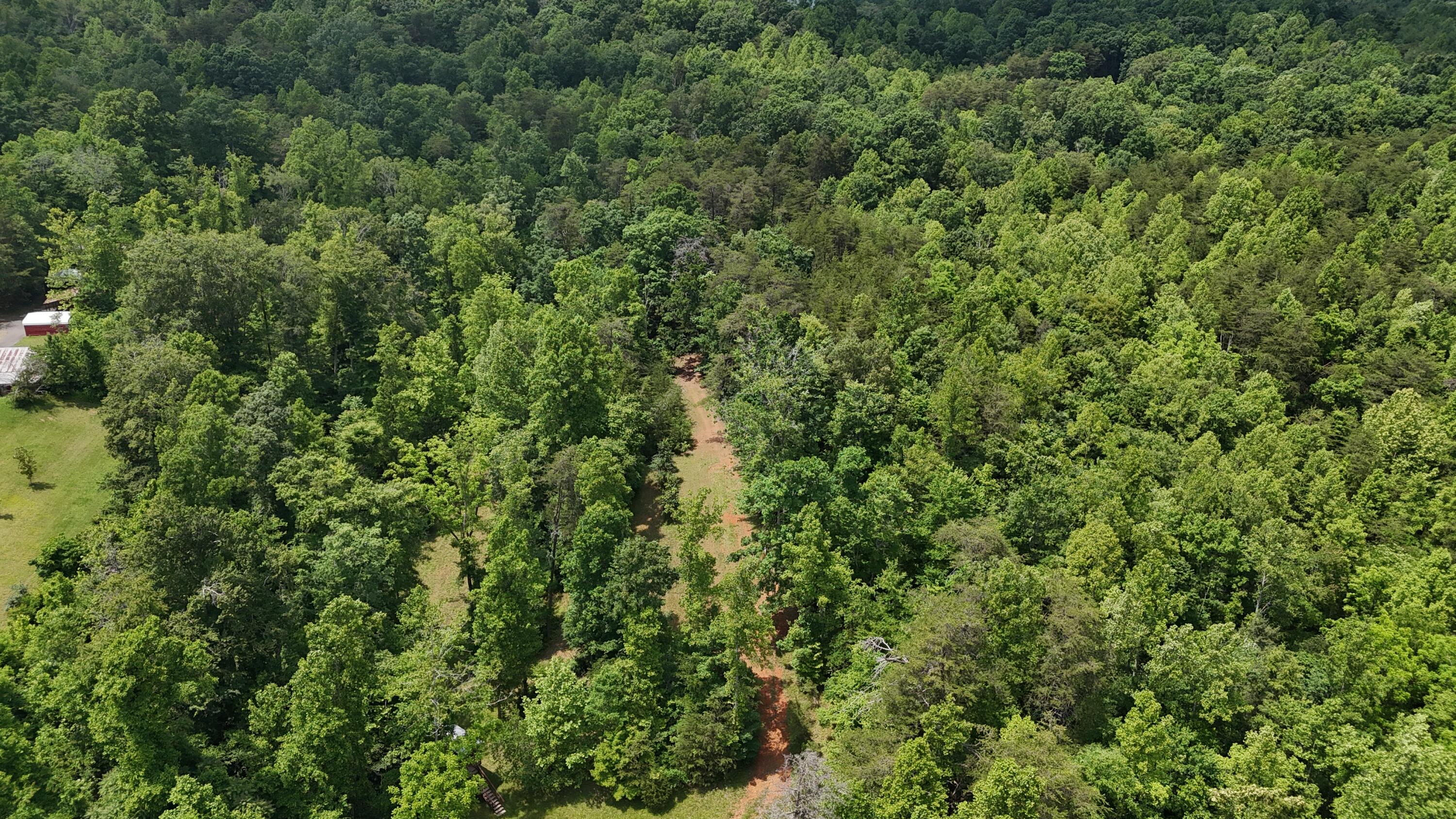 1320 Horseshoe Point Rd, Henry, Virginia image 49