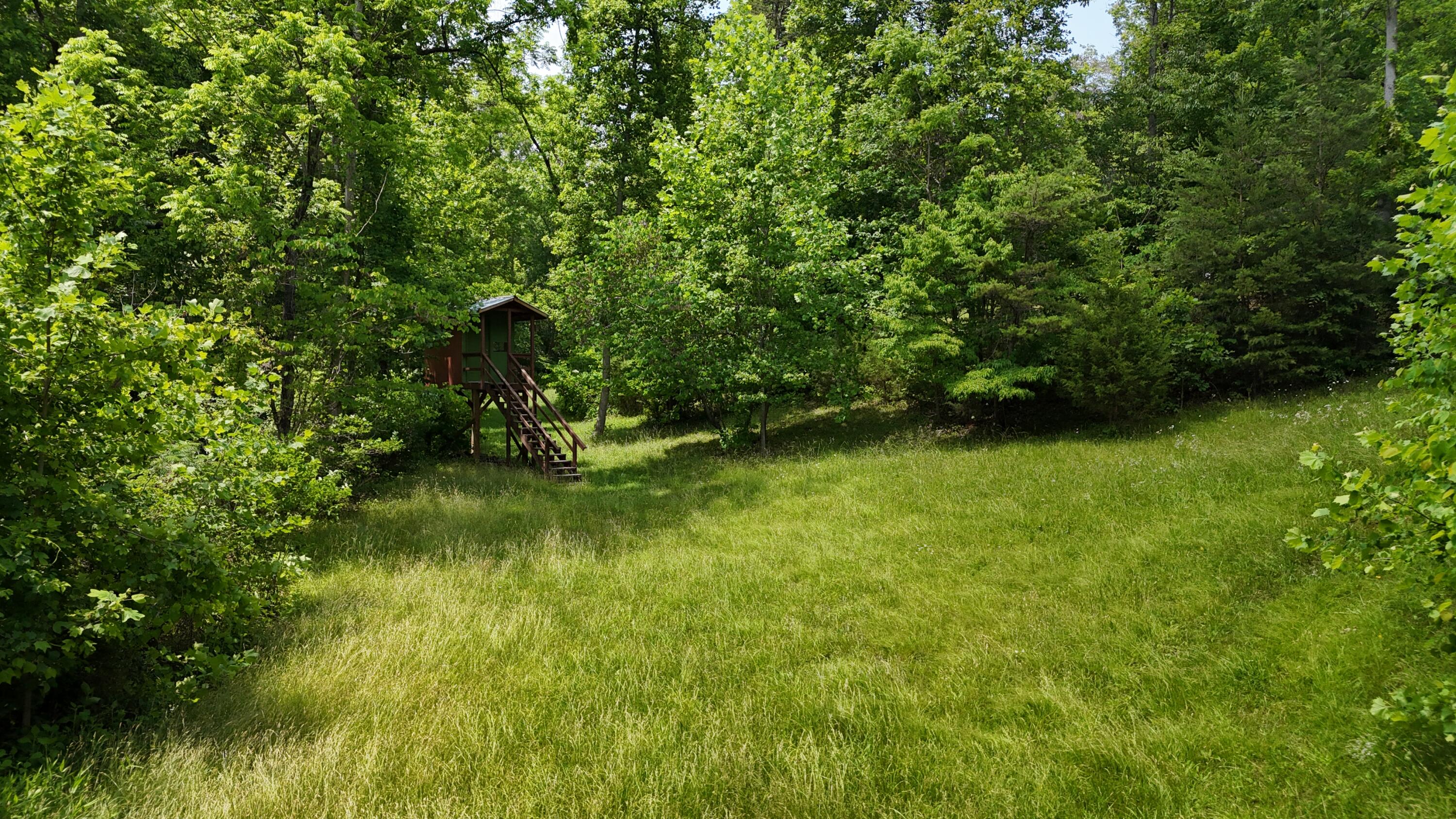 1320 Horseshoe Point Rd, Henry, Virginia image 47