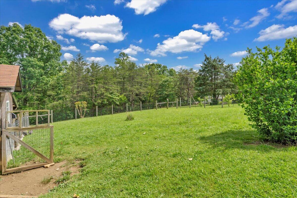 1320 Horseshoe Point Rd, Henry, Virginia image 38