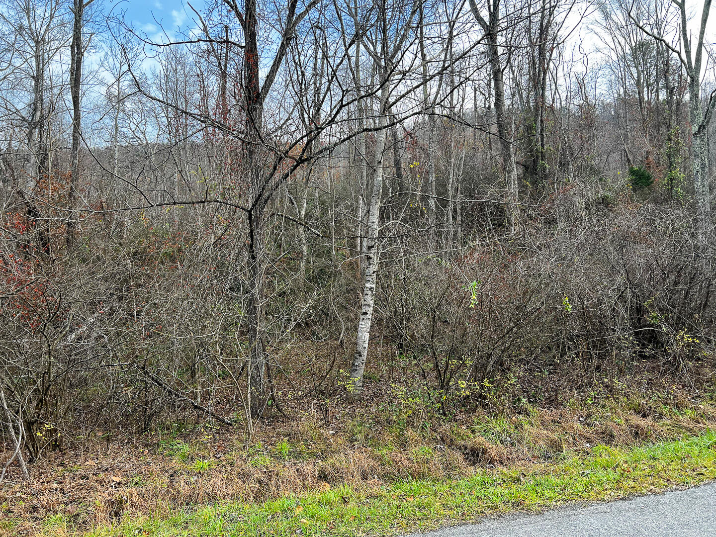 Lot 2A Wheats Valley Rd, Bedford, Virginia image 8