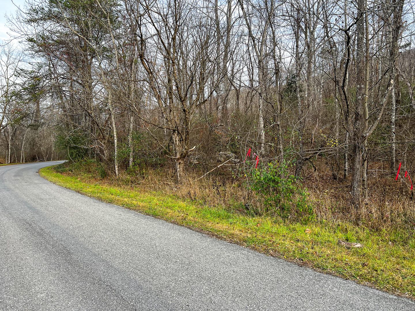 Lot 2A Wheats Valley Rd, Bedford, Virginia image 11