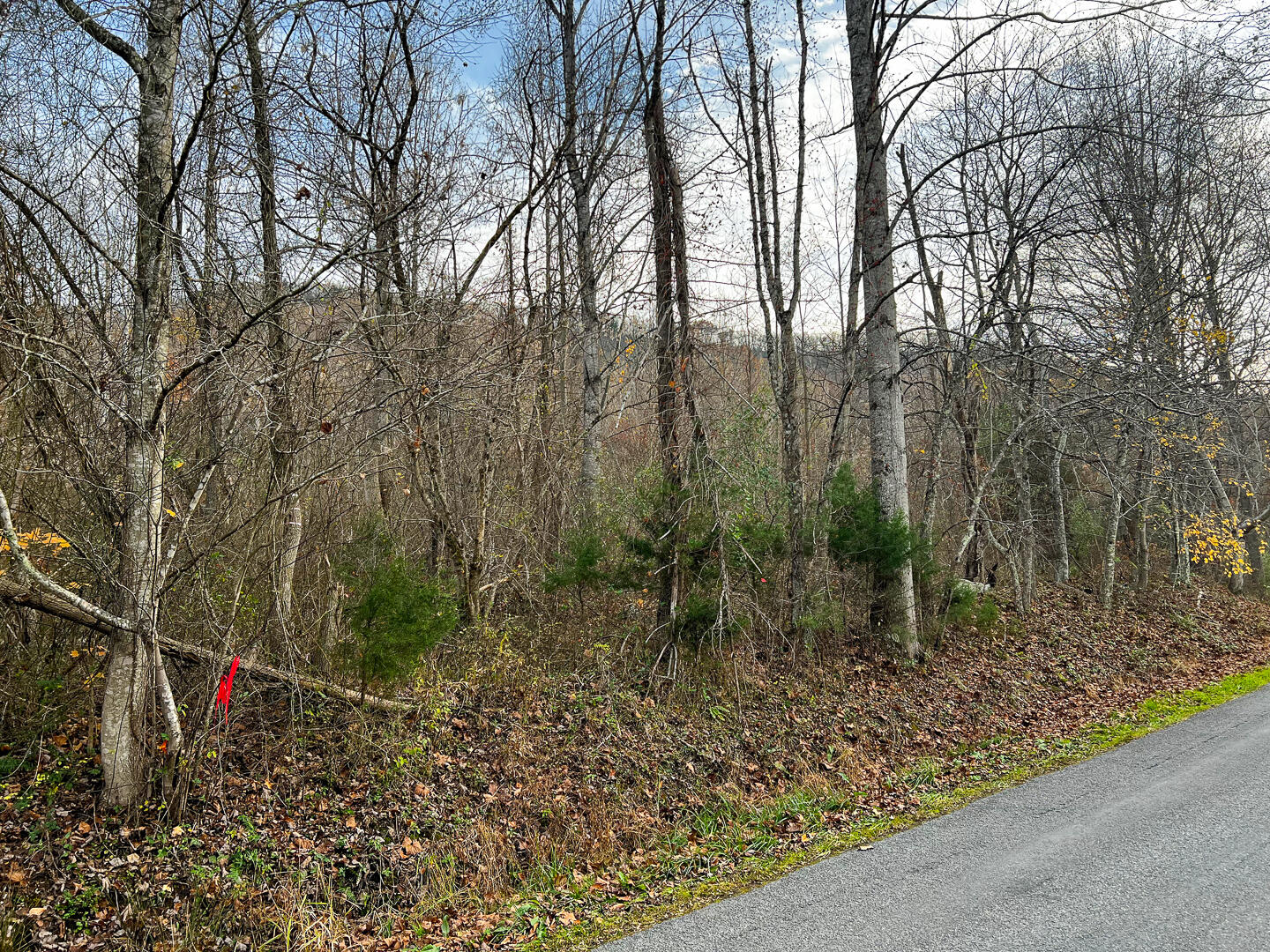 Lot 2A Wheats Valley Rd, Bedford, Virginia image 2