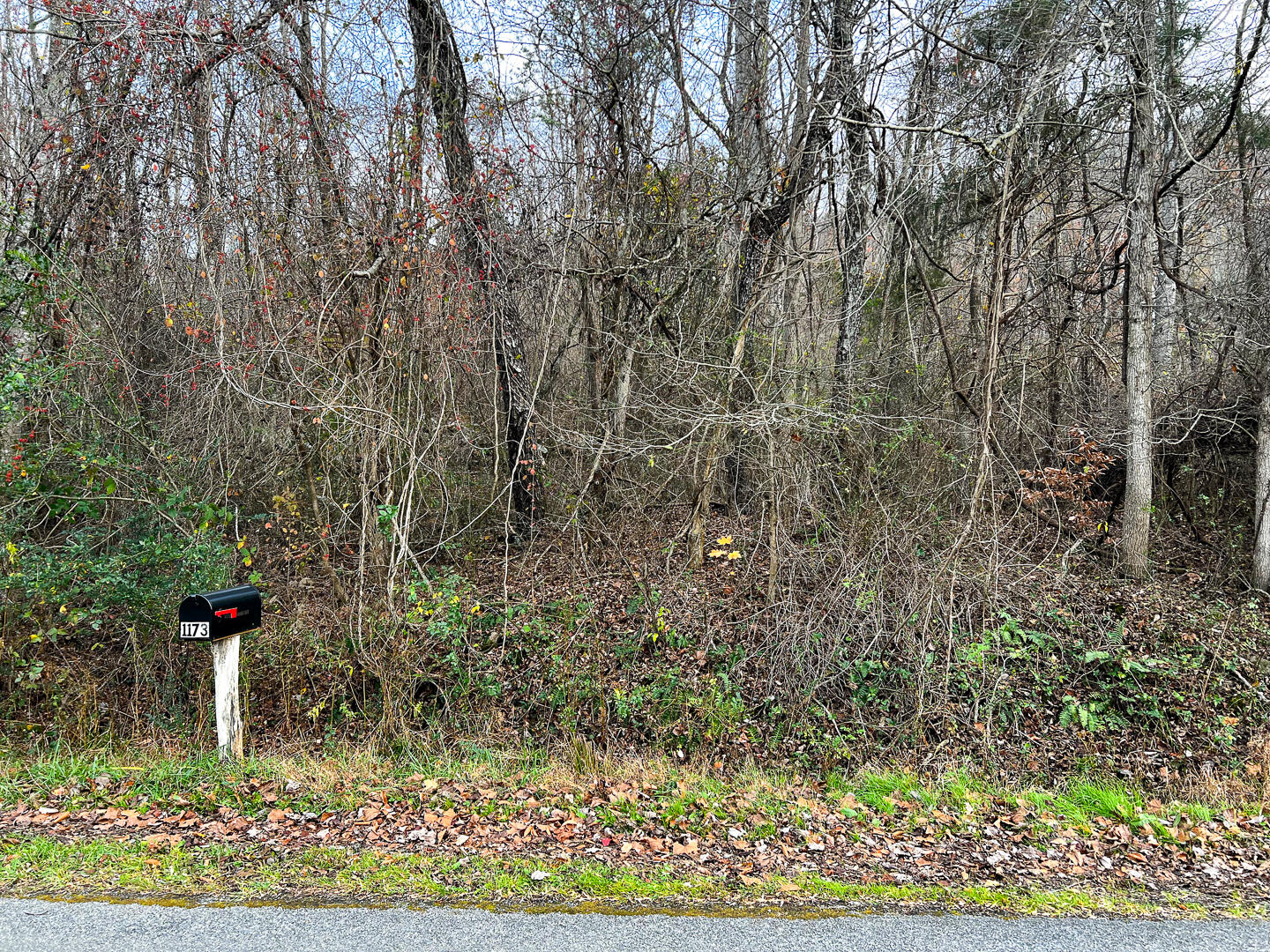 Lot 2A Wheats Valley Rd, Bedford, Virginia image 4