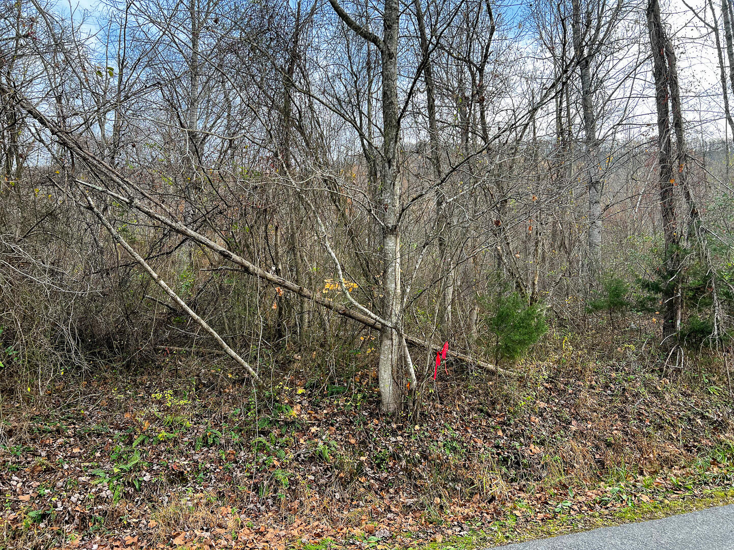 Lot 2A Wheats Valley Rd, Bedford, Virginia image 3