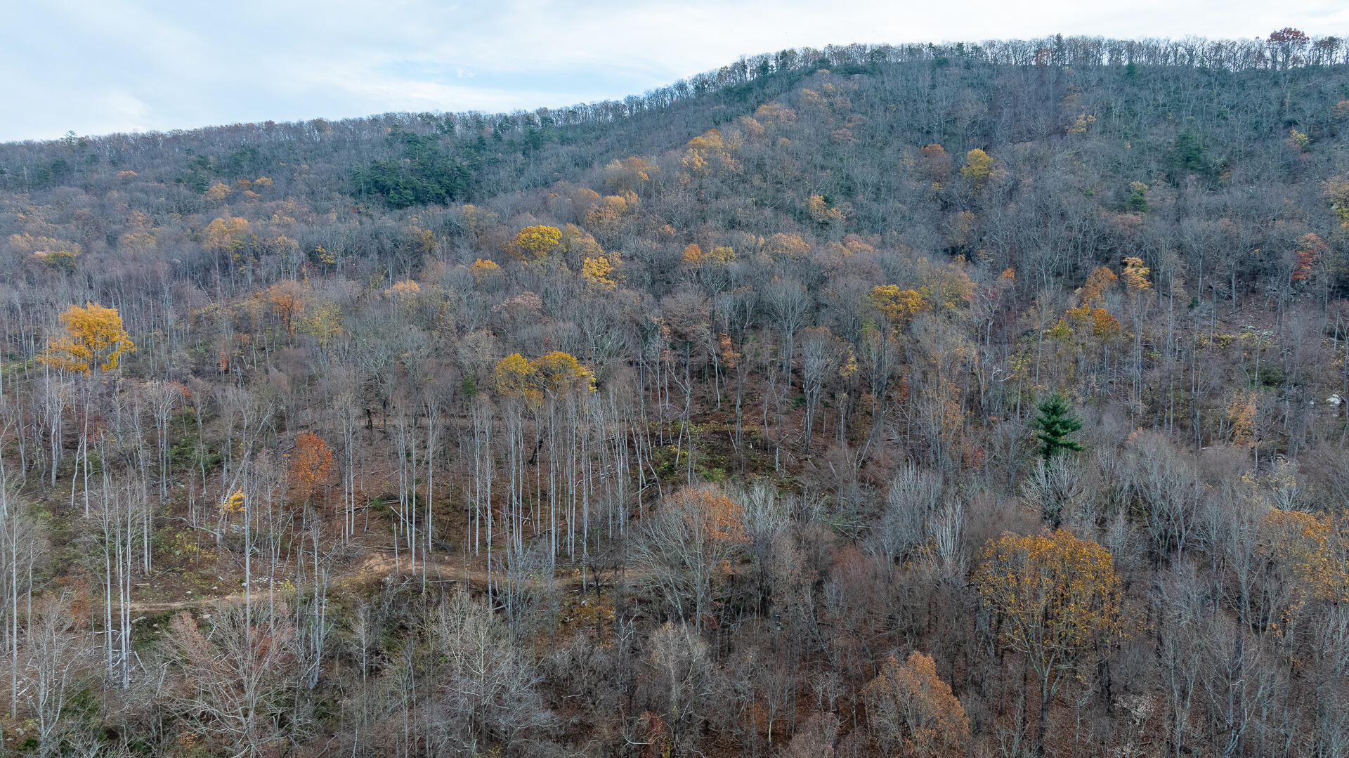 Lot 2A Wheats Valley Rd, Bedford, Virginia image 9