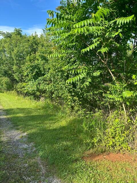 Lot 79 Virginia Ridge Dr, Bedford, Virginia image 1