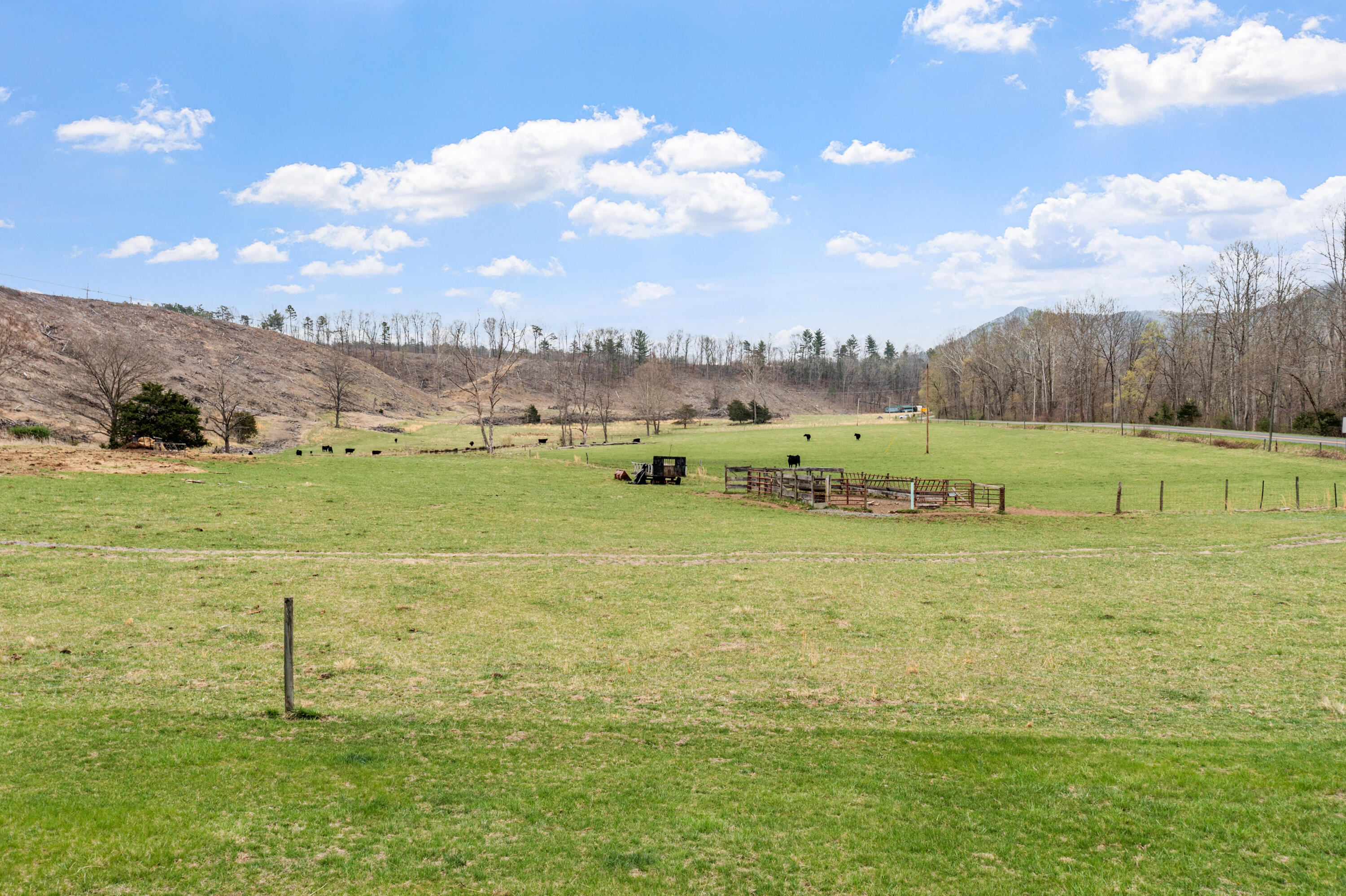 11892 Craig Creek Rd, Eagle Rock, Virginia image 4