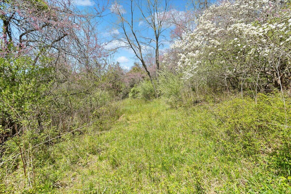489 Arch Mill Rd, Buchanan, Virginia image 50