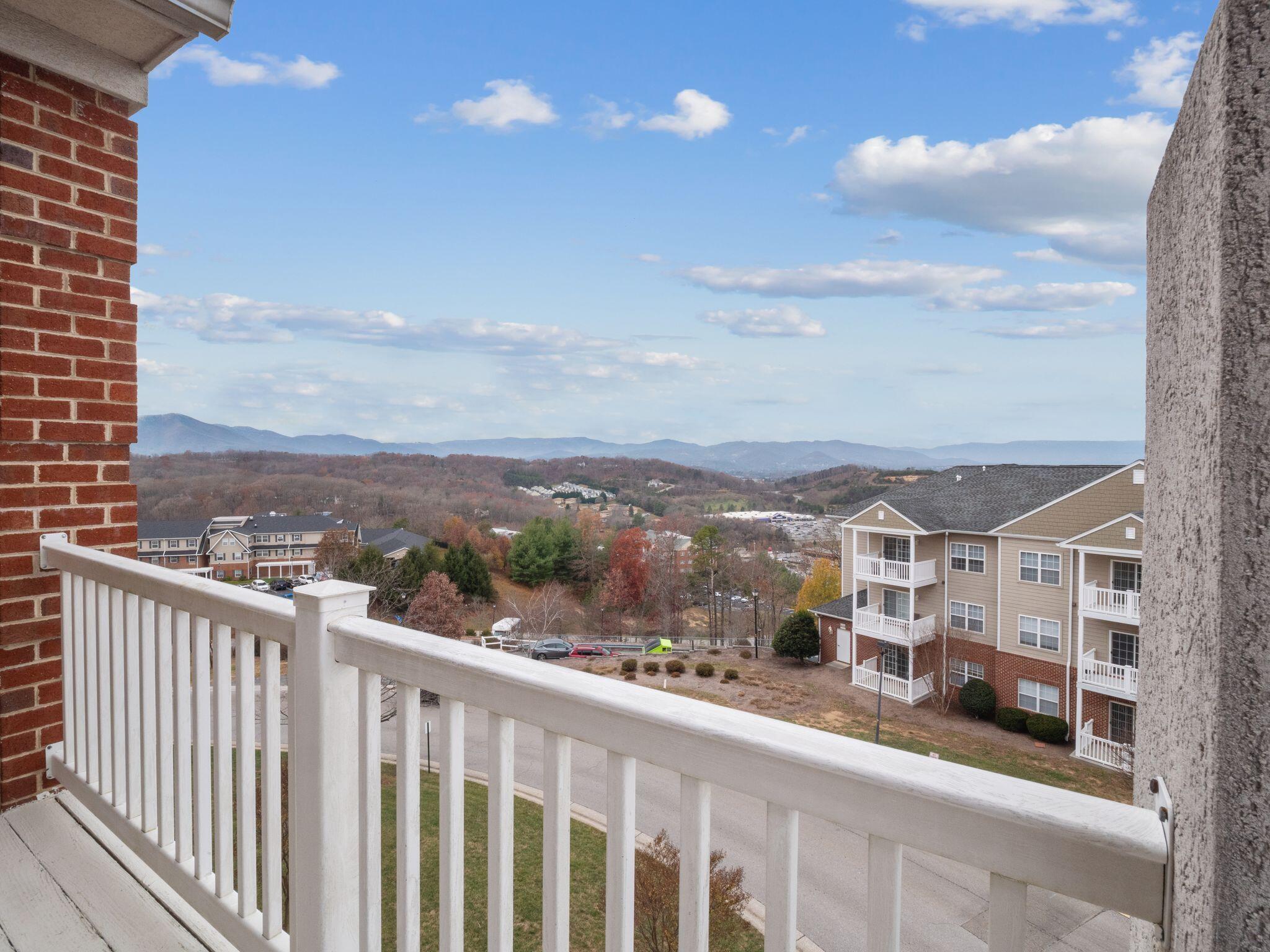 4434 Pheasant Ridge Rd #406, Roanoke, Virginia image 11