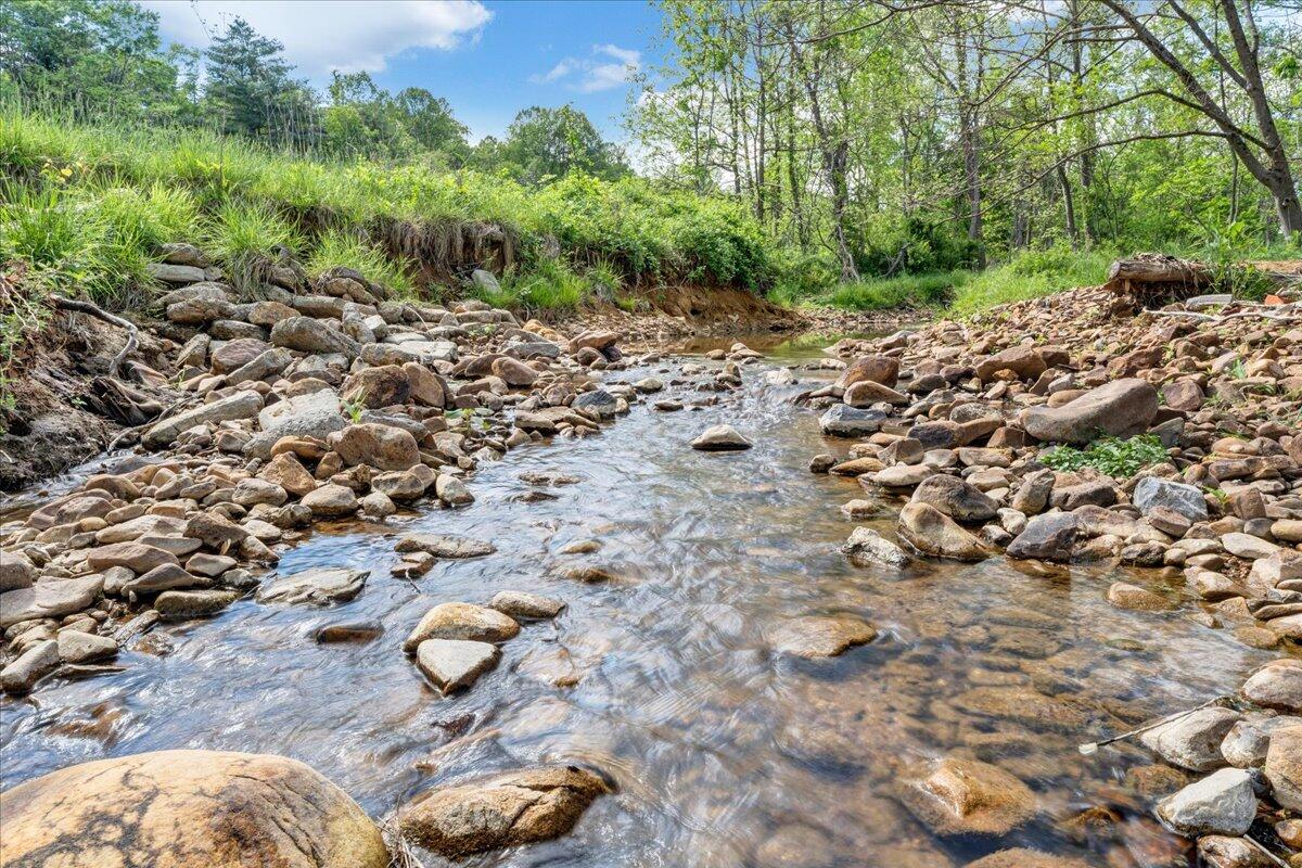 3223 Webster Rd, Blue Ridge, Virginia image 45