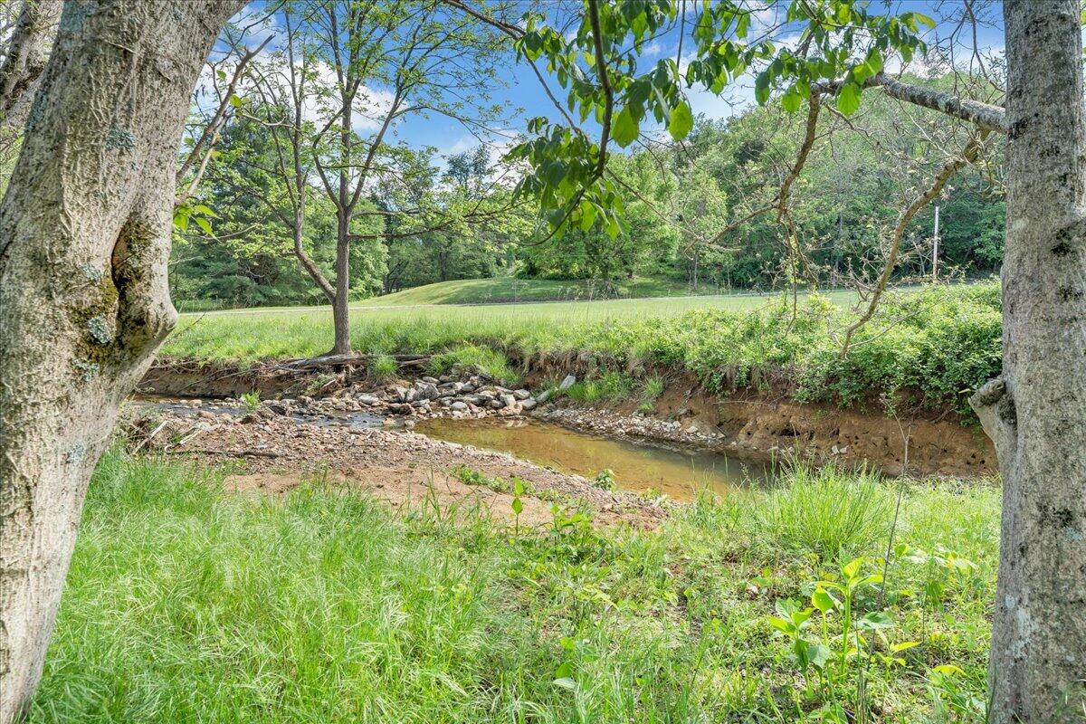 3223 Webster Rd, Blue Ridge, Virginia image 39