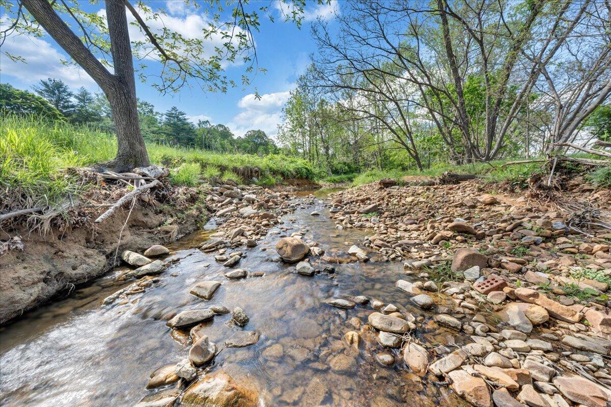 3223 Webster Rd, Blue Ridge, Virginia image 43