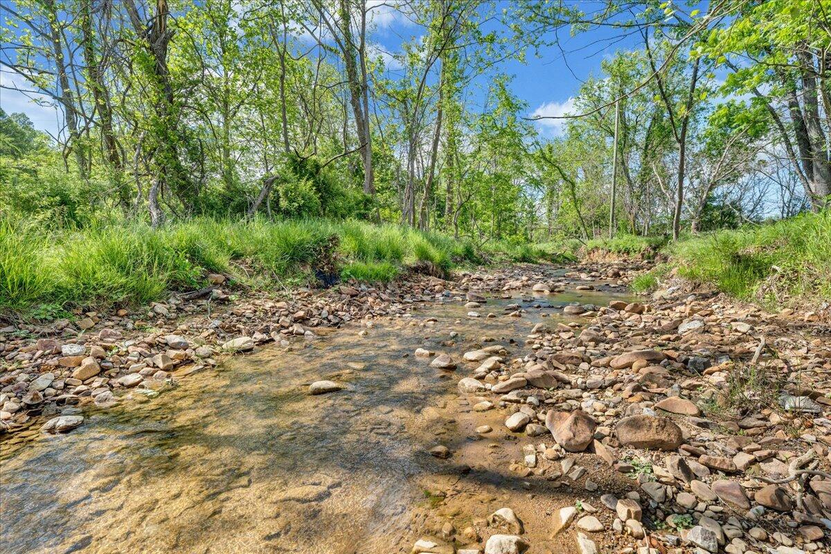 3223 Webster Rd, Blue Ridge, Virginia image 49