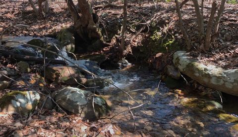 Photo of 0 Hall RD, Catawba, VA 24070 (MLS # 926086)