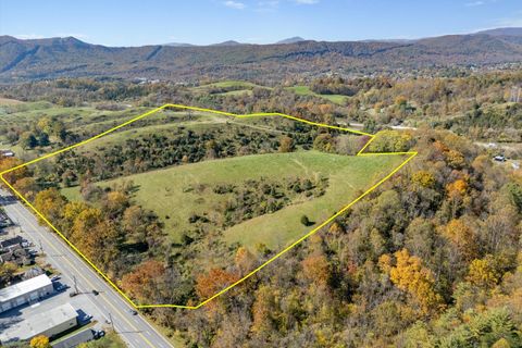 Vacant Land For Sale - 0000 Lee Hwy<br/> Troutville, VA 24175