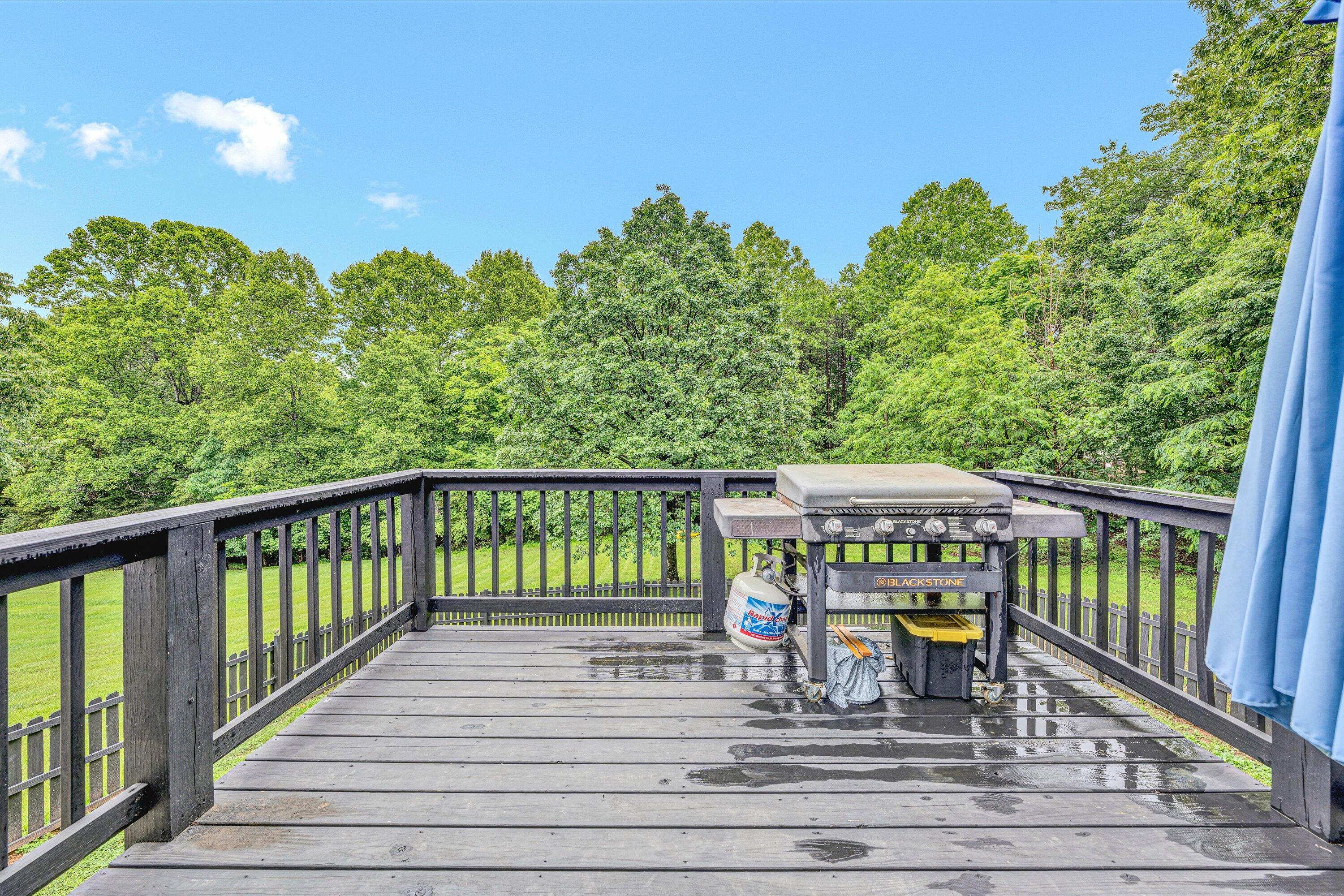 60 Surber Dr, Moneta, Ohio image 18