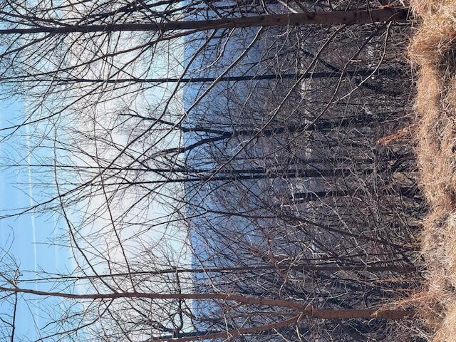 Lot 22 Summit Dr, Rocky Mount, Virginia image 2