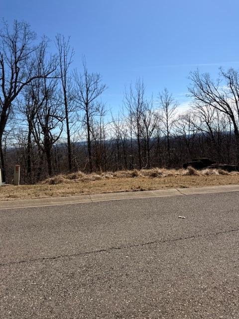 Lot 22 Summit Dr, Rocky Mount, Virginia image 5
