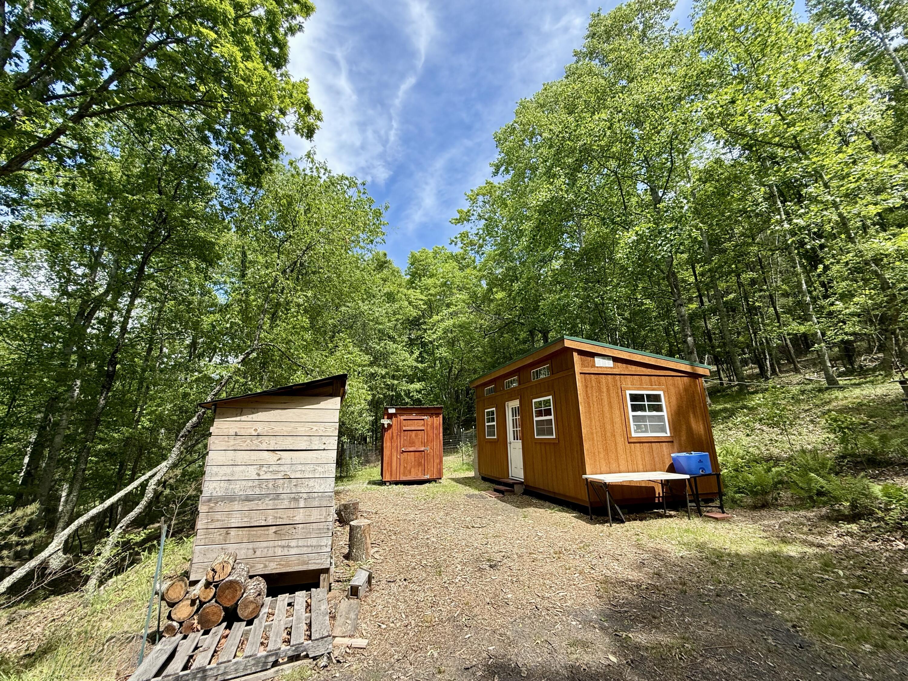 7750 Dicks Creek Rd, New Castle, Virginia image 3