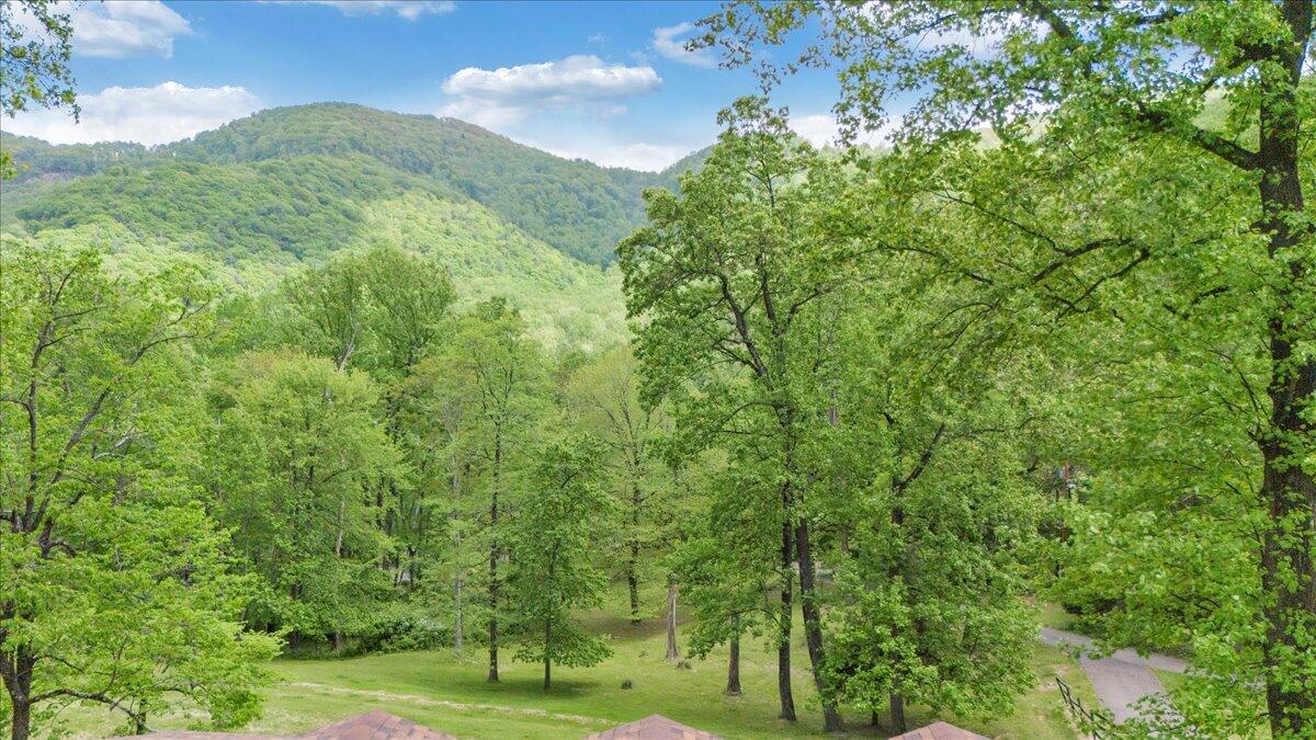 7133 Stone Mountain Rd, Roanoke, Virginia image 34