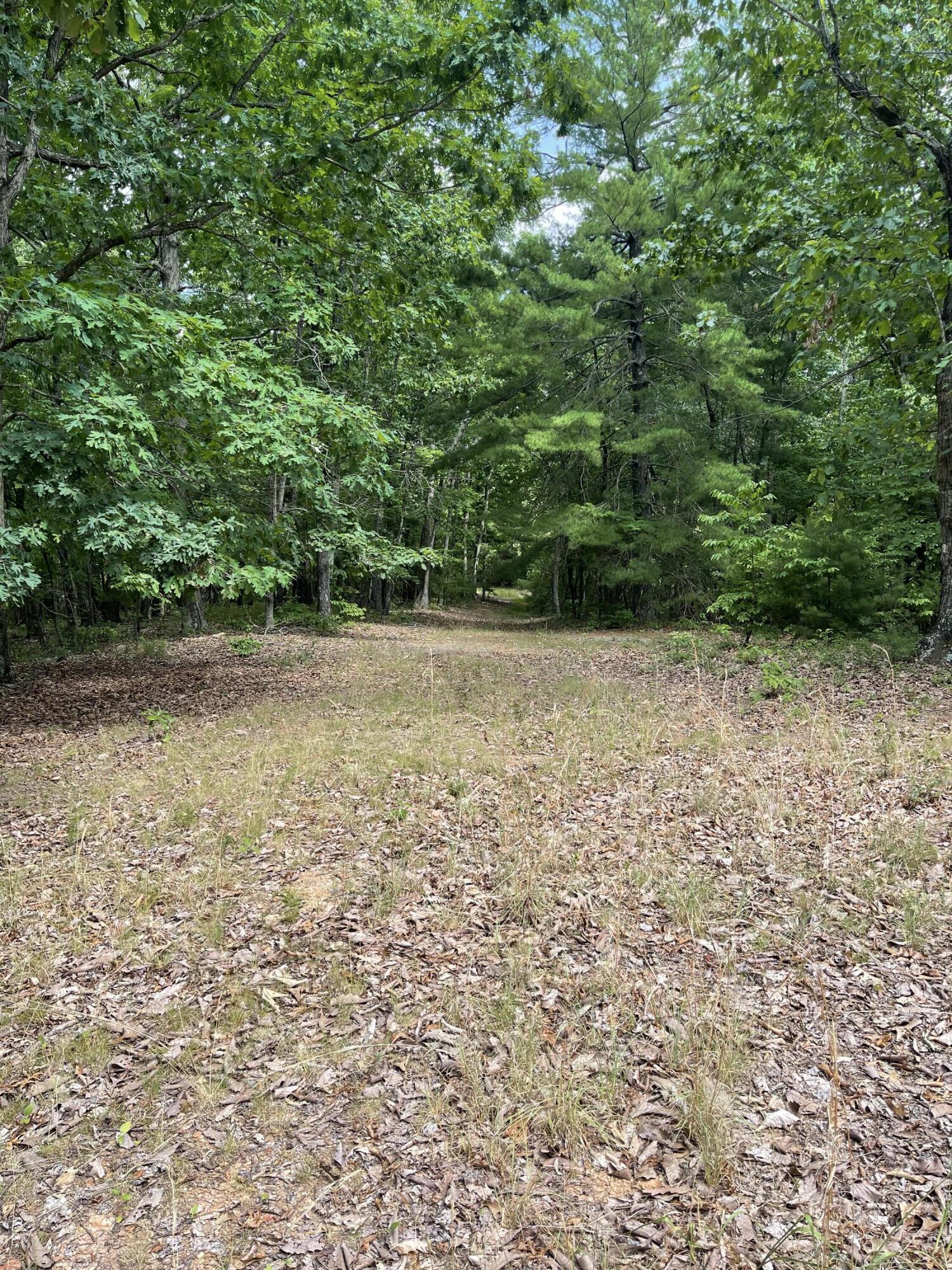 5021 Muddy Fork Rd, Bassett, Virginia image 17