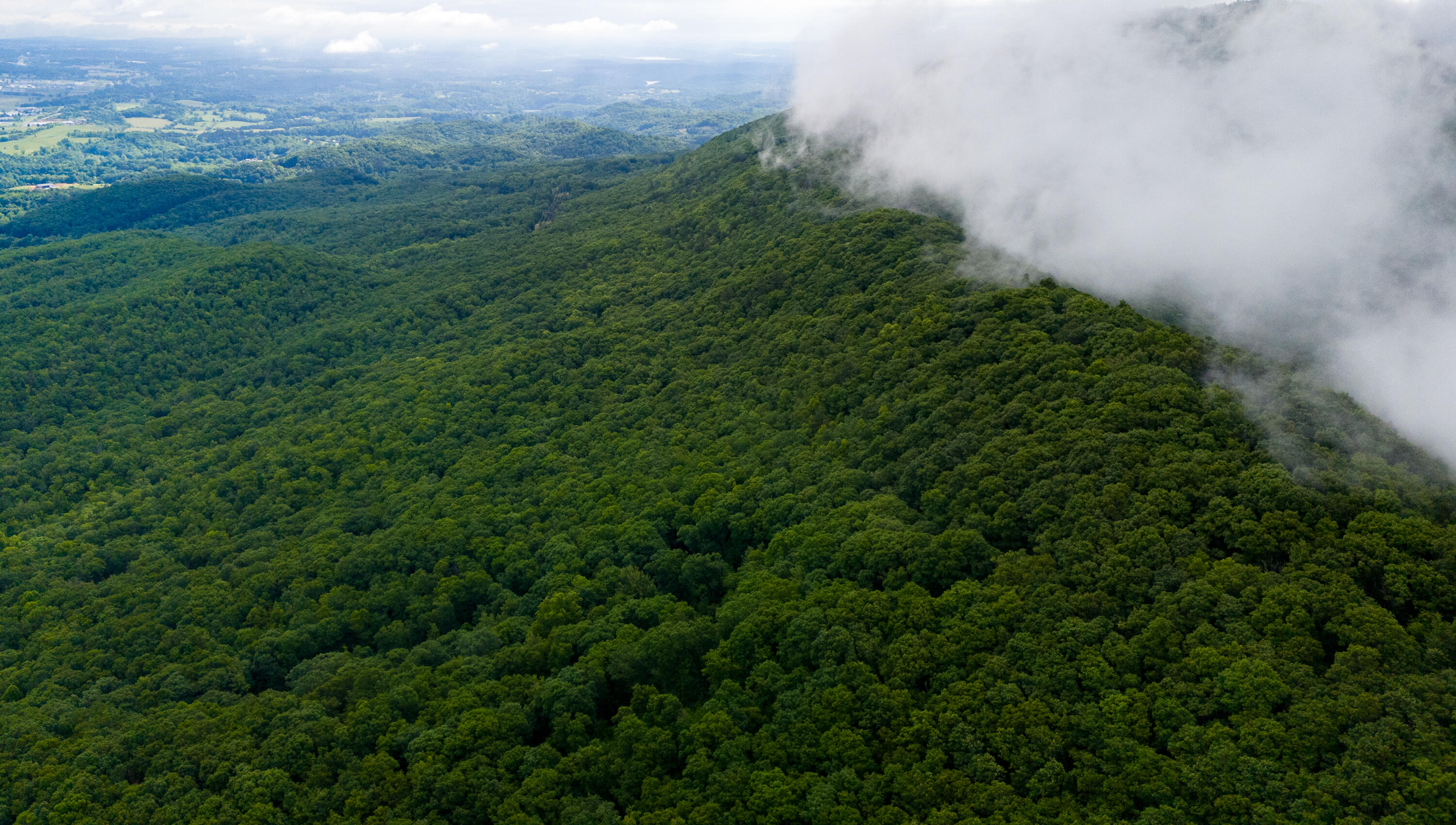 Block Plant Rd, Pulaski, Virginia image 8