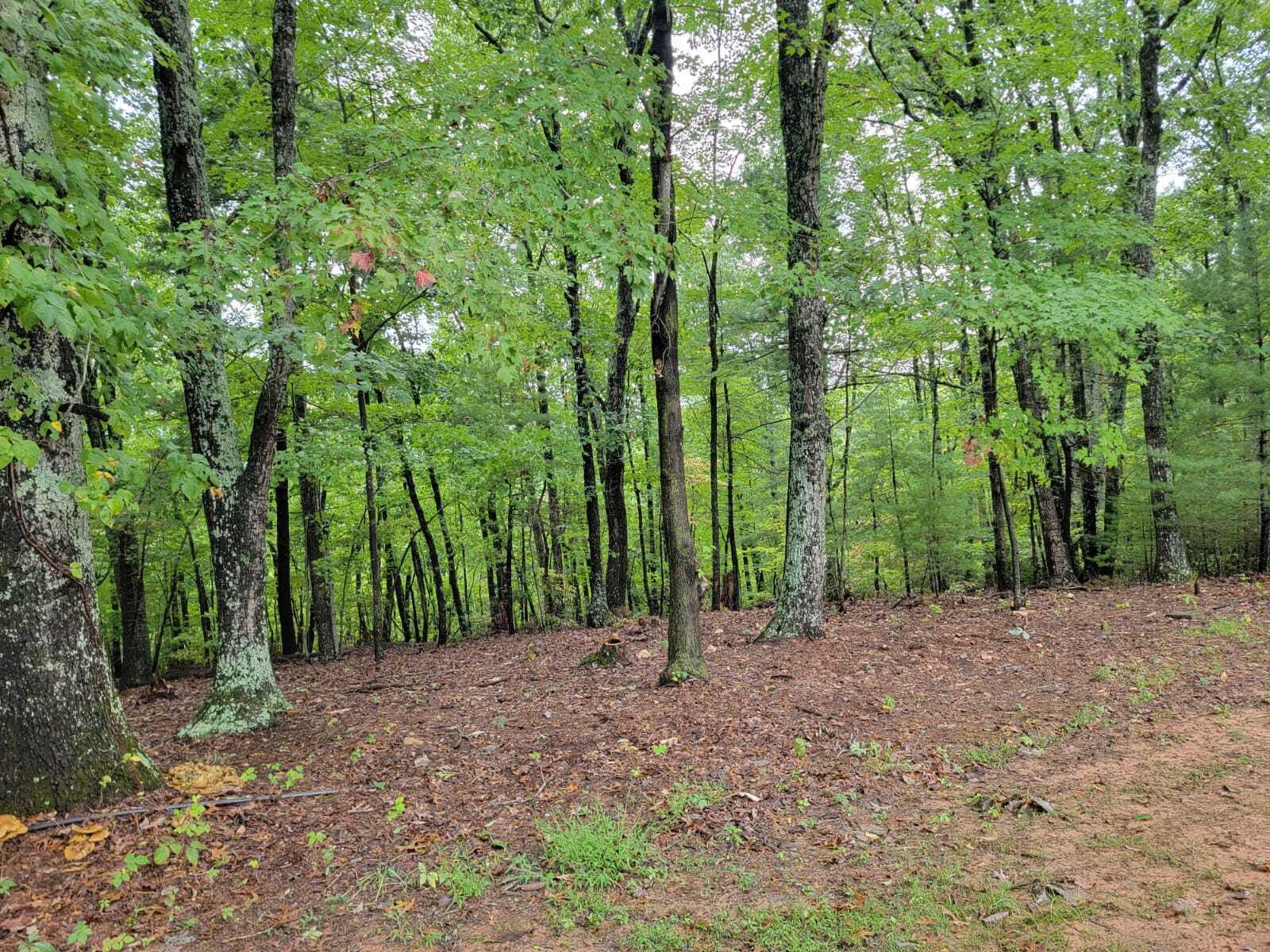 640 Cooks Knob Rd, Ferrum, Virginia image 48