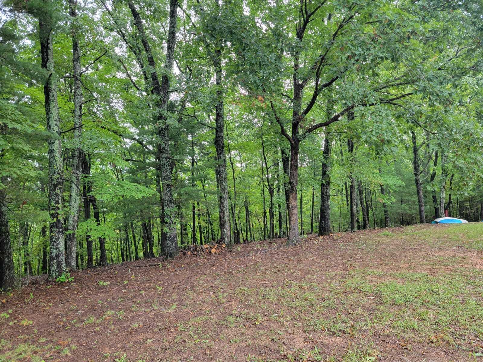 640 Cooks Knob Rd, Ferrum, Virginia image 49