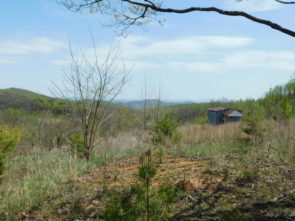 Wooldridge Rd, Blue Ridge, Virginia image 12