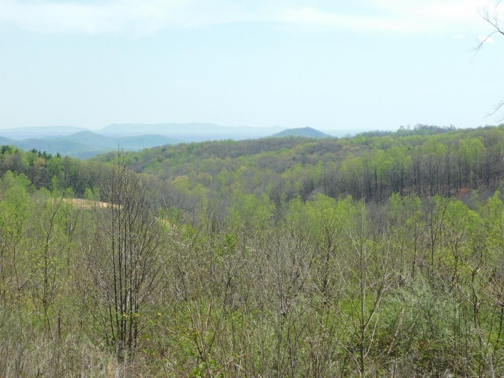Wooldridge Rd, Blue Ridge, Virginia image 11