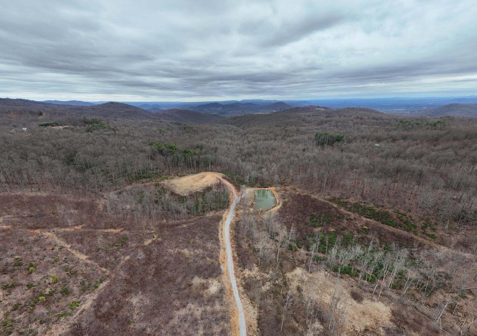 Wooldridge Rd, Blue Ridge, Virginia image 8