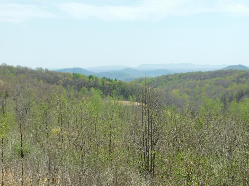 Wooldridge Rd, Blue Ridge, Virginia image 10