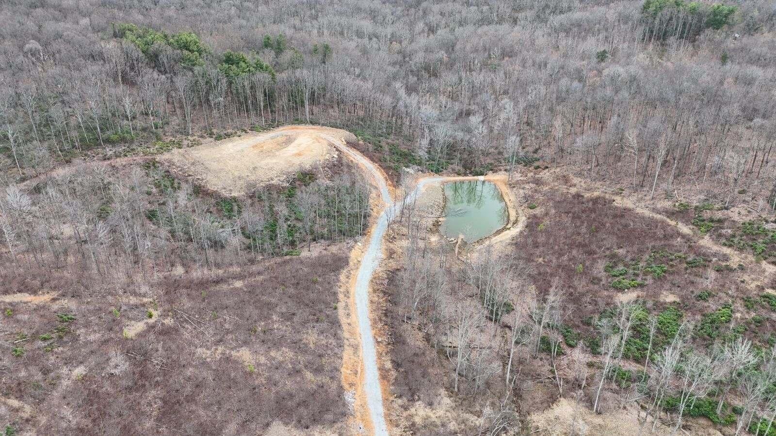 Wooldridge Rd, Blue Ridge, Virginia image 6