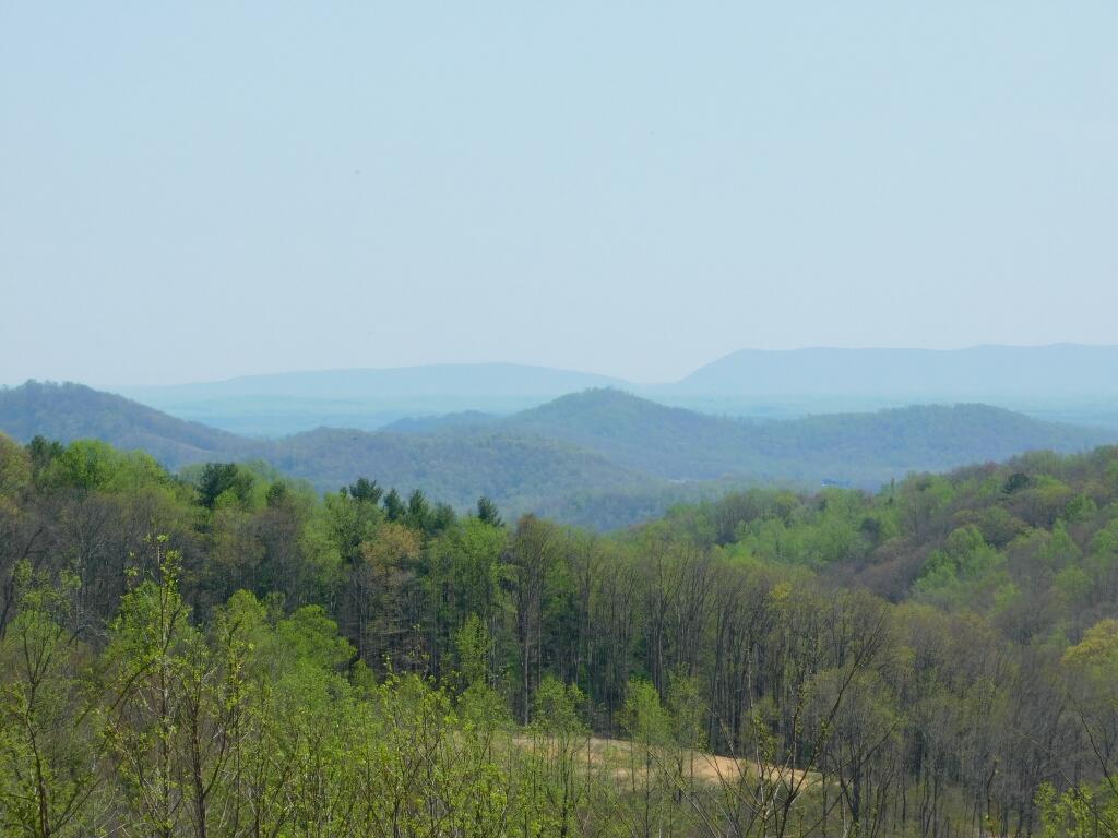 Wooldridge Rd, Blue Ridge, Virginia image 17