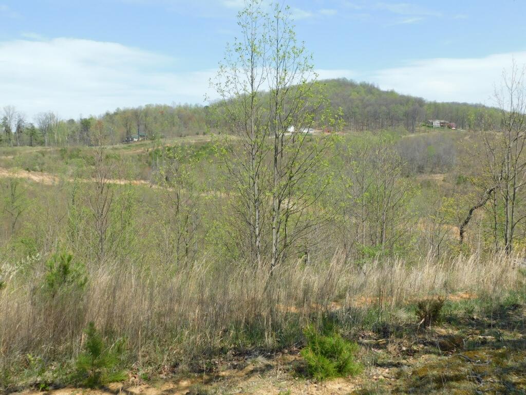 Wooldridge Rd, Blue Ridge, Virginia image 19