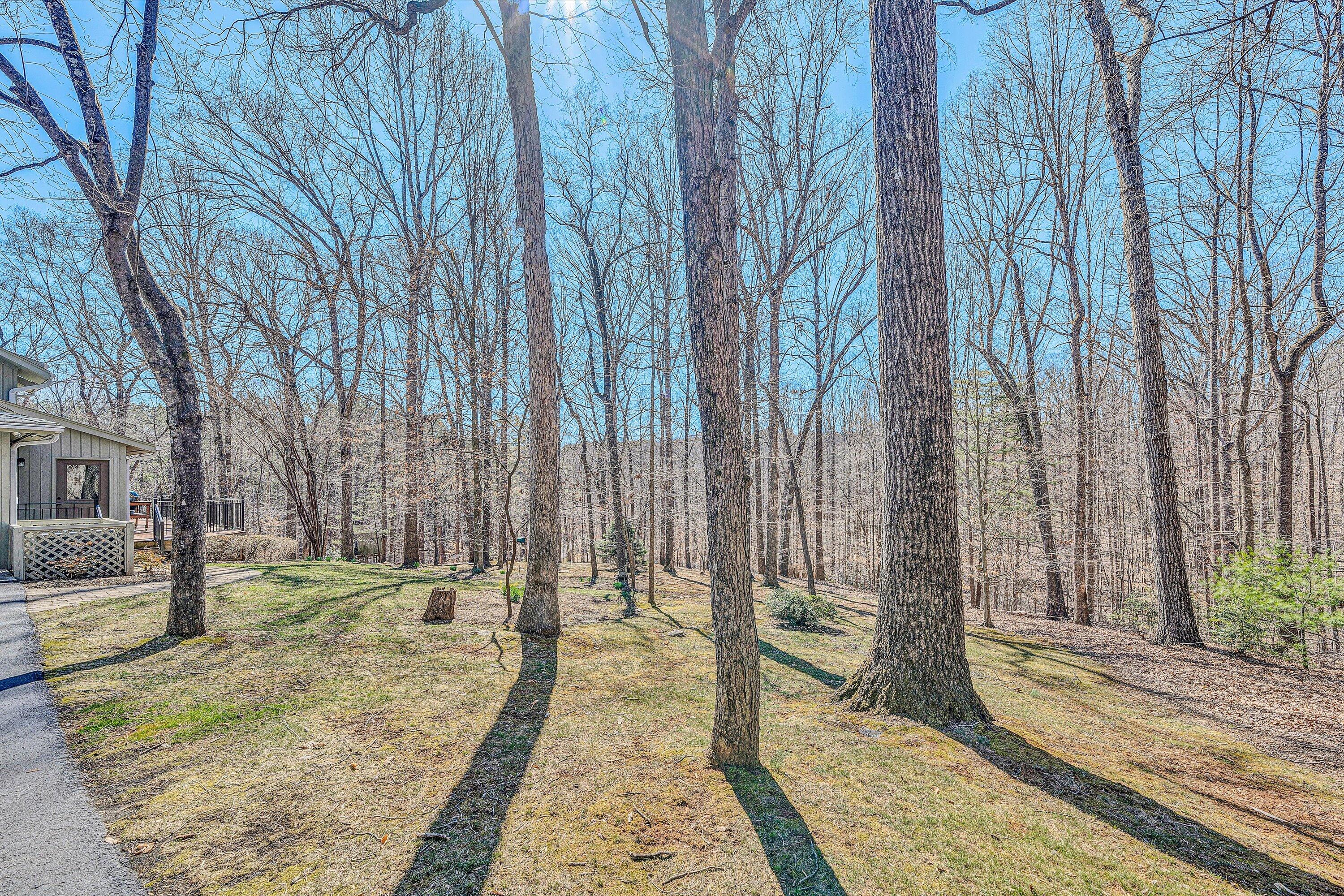 265 Lakewood Ct, Rocky Mount, Virginia image 44