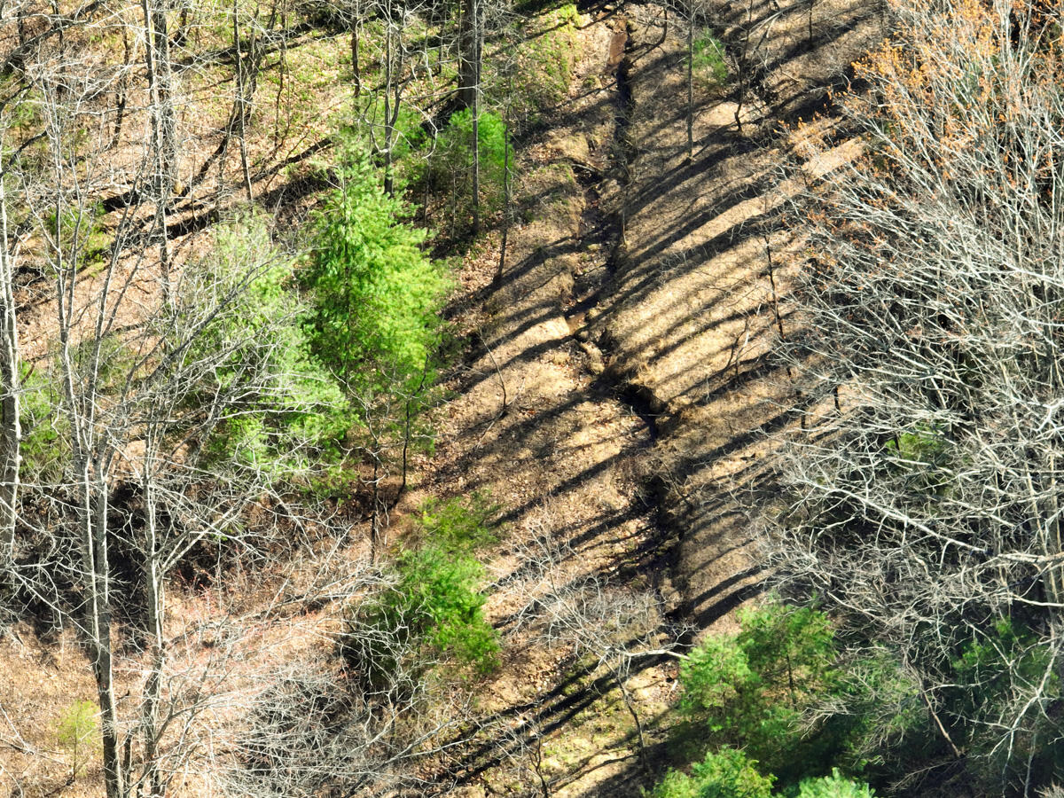Willard Creek Ln, Stuart, Virginia image 16