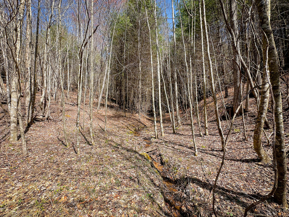 Willard Creek Ln, Stuart, Virginia image 10