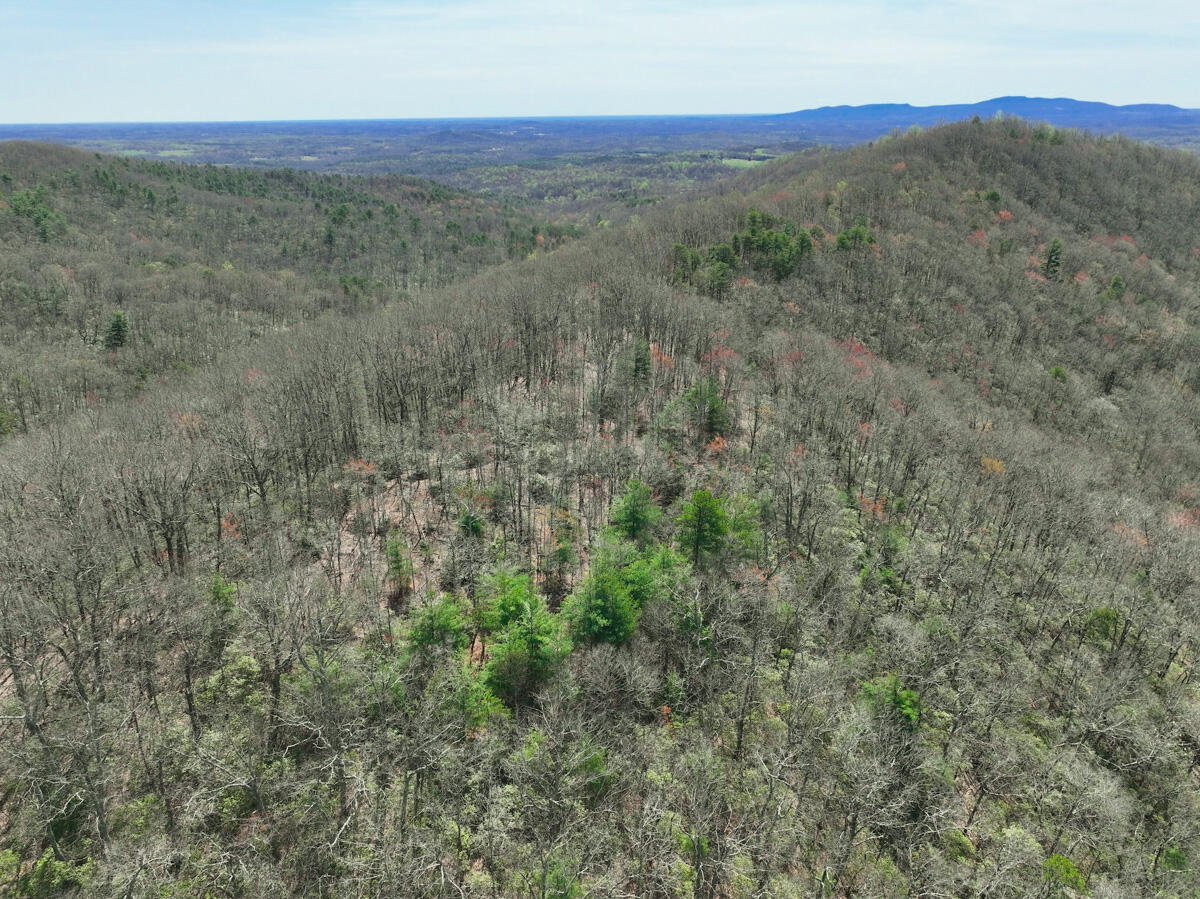 Willard Creek Ln, Stuart, Virginia image 50