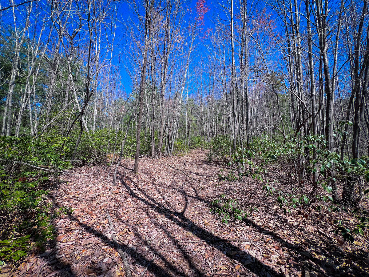 Willard Creek Ln, Stuart, Virginia image 23